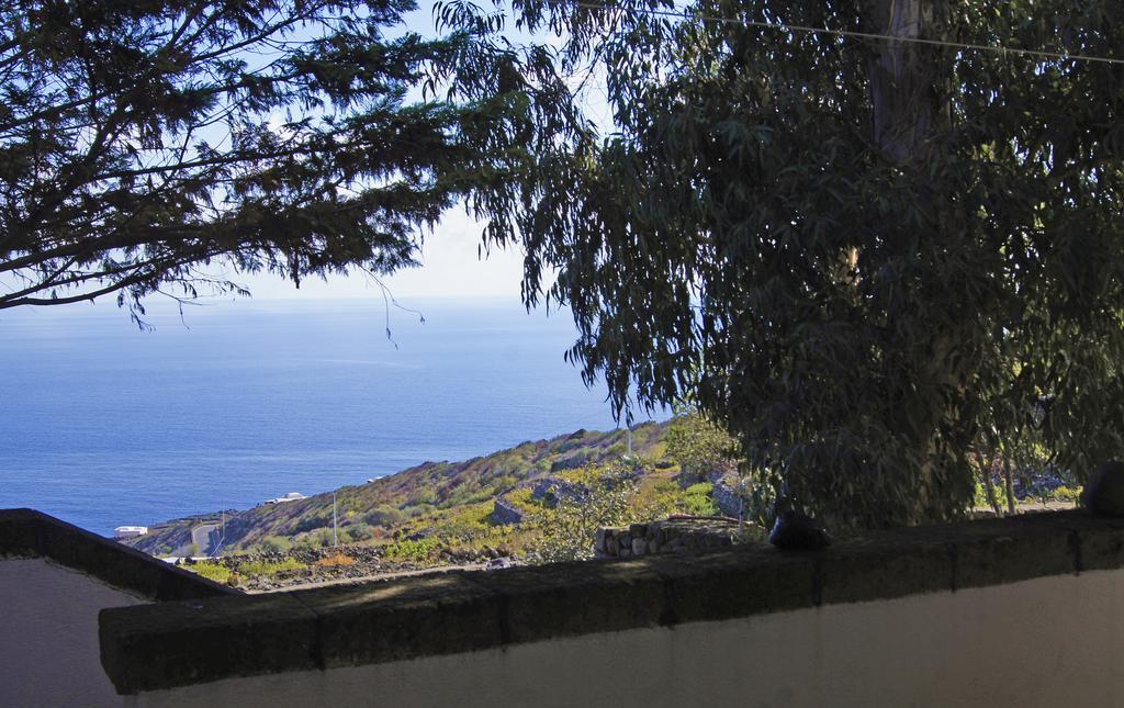 Appartement Alba *